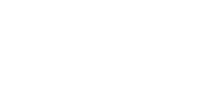 Porsche logo